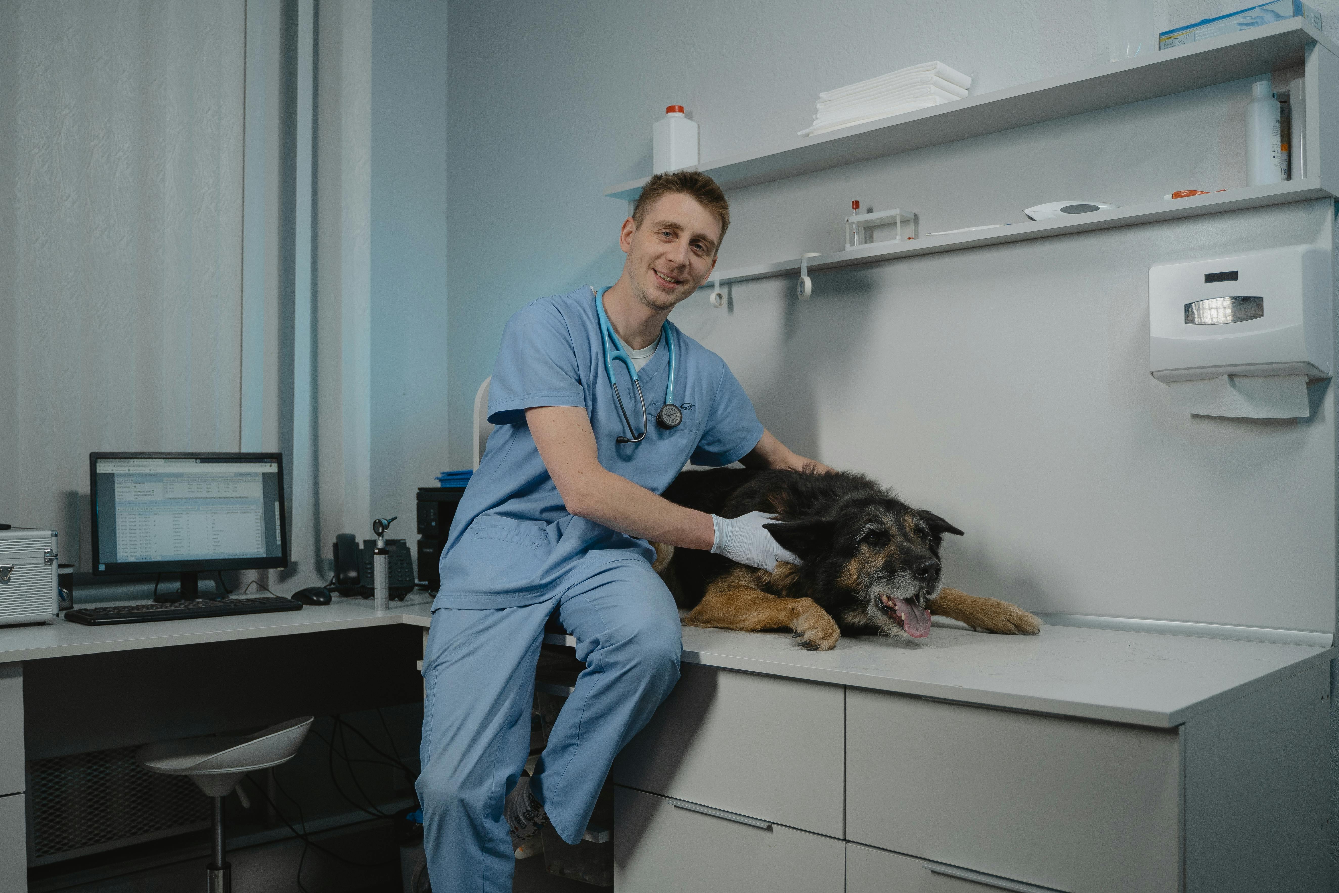 Animal health supplements