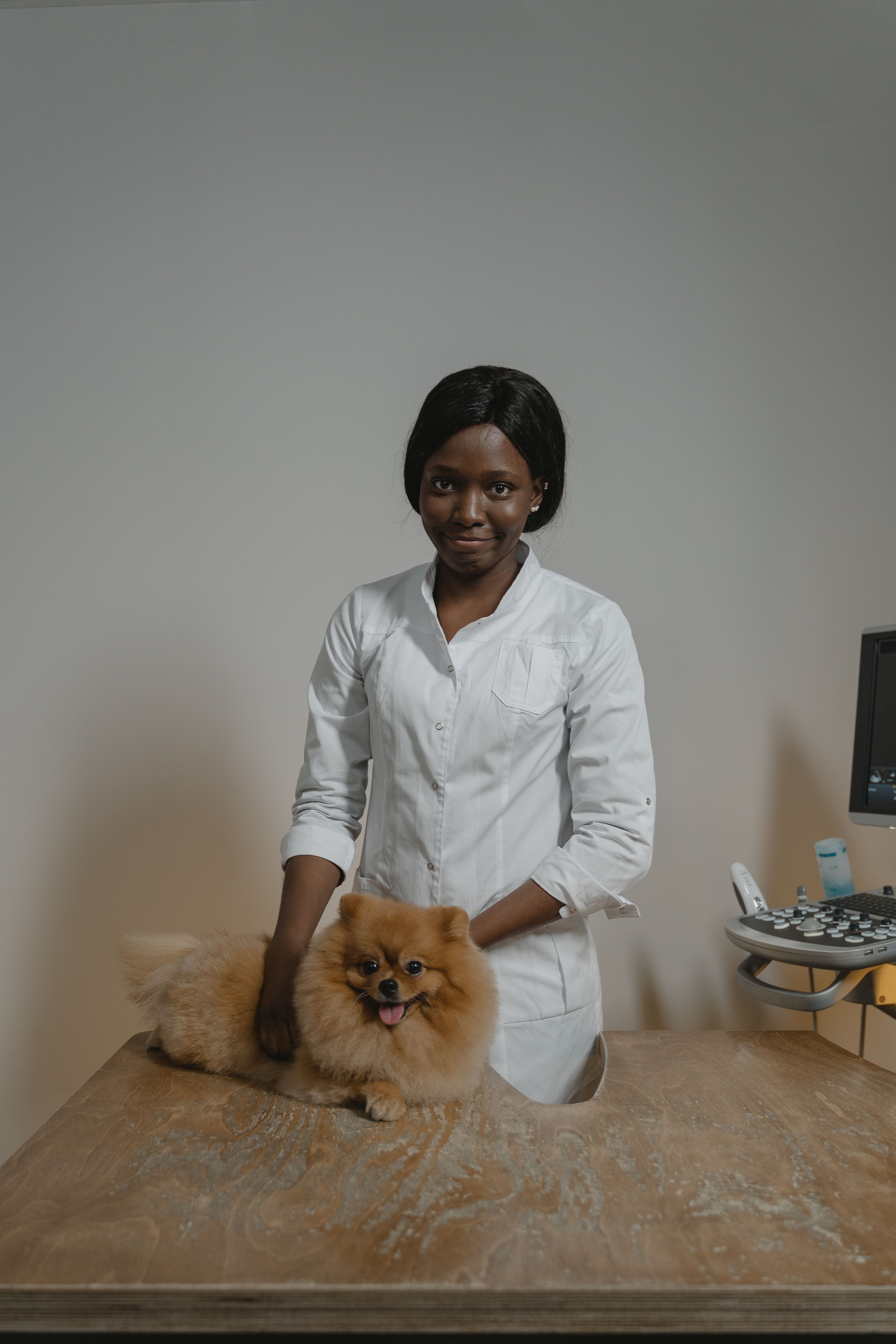 Veterinary supplement consultation